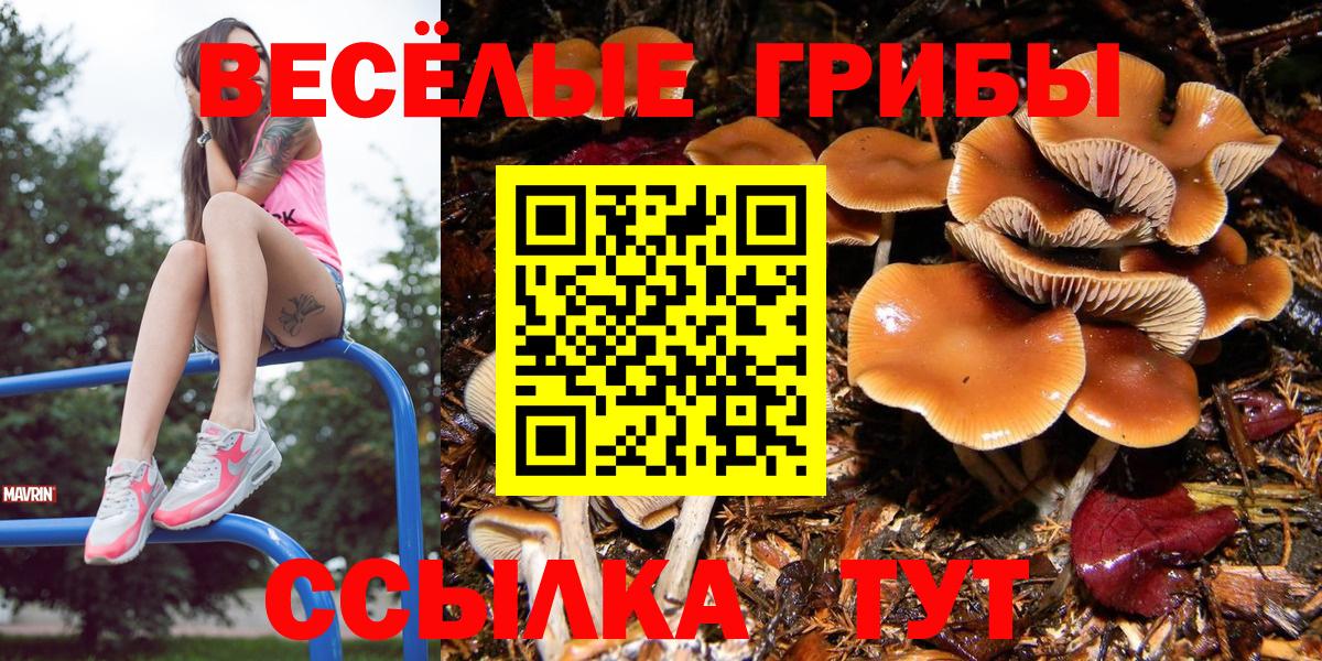Галлюциногенные грибы мухоморы  Вход с VPN  наркошоп  Горячий Ключ  Галлюциногенные грибы мухоморы 